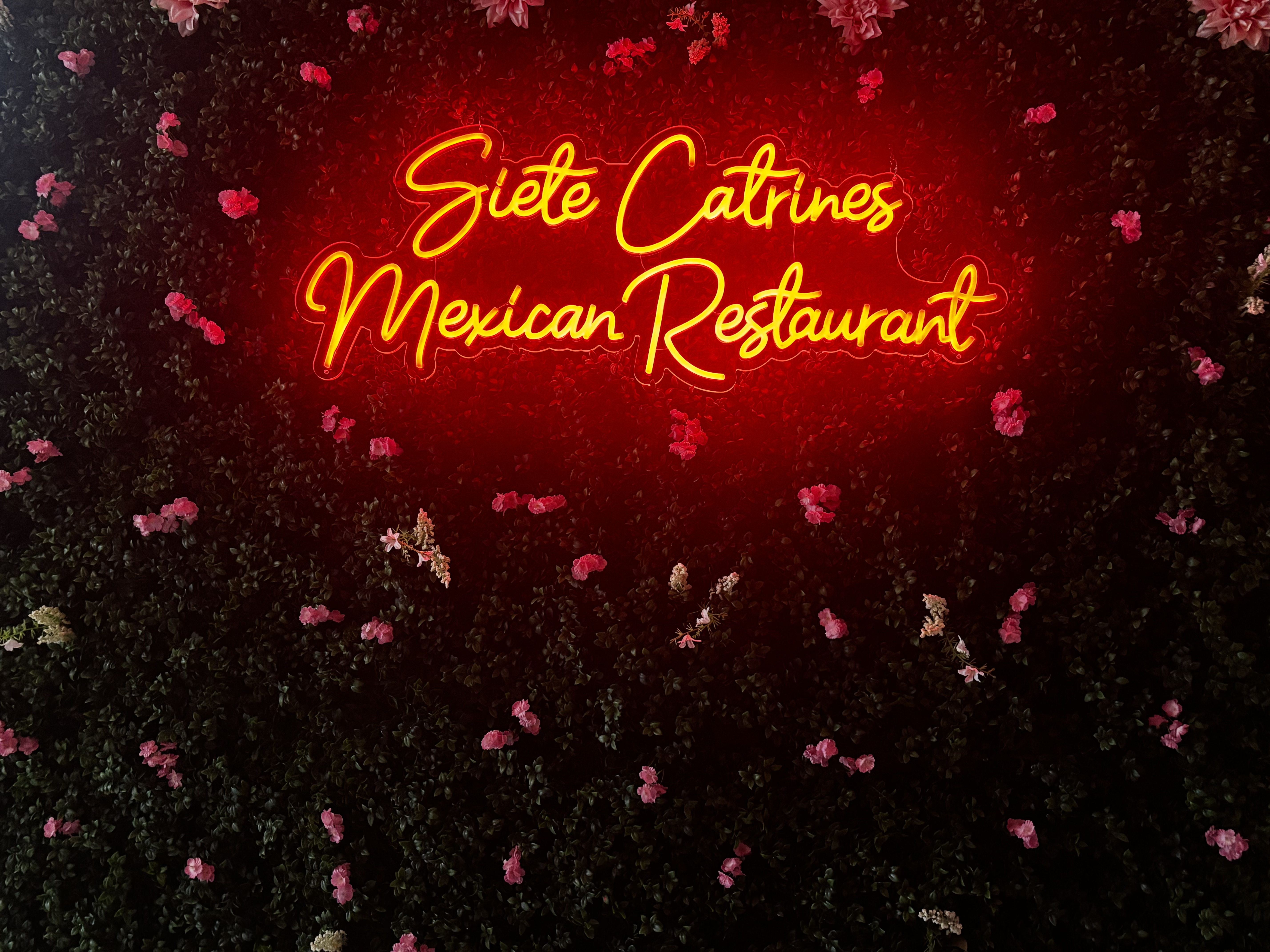 Siete Catrines red neon sign on a flower wall